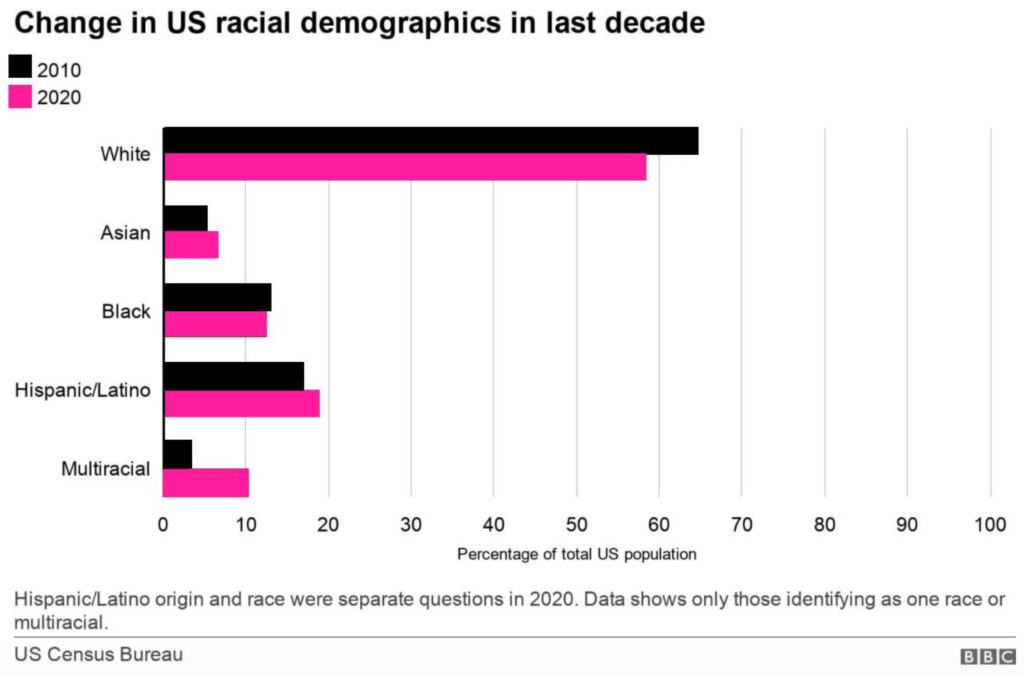 what is the racial makeup of the united states